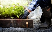 Basic Gardening Terms Often Used