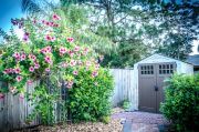 Garden Buildings don't have to be sheds