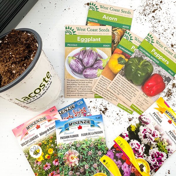 Flower Seeds to Sow in March