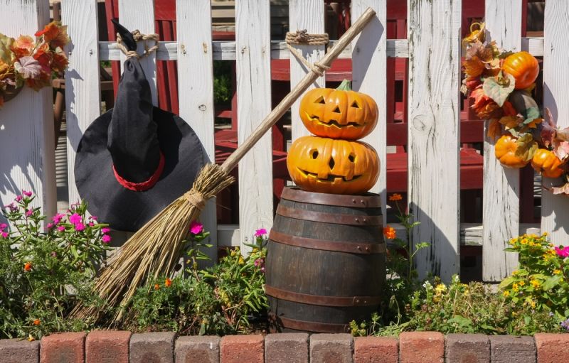 Get Your Garden Ready for Halloween