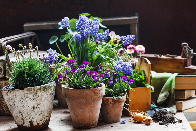 Here's how to make the most of your spring garden
