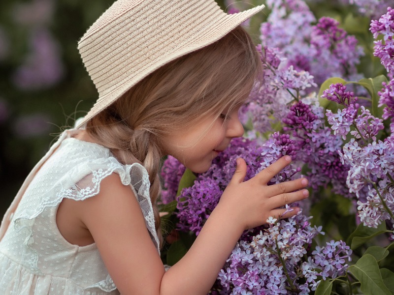 How to prune Lilacs