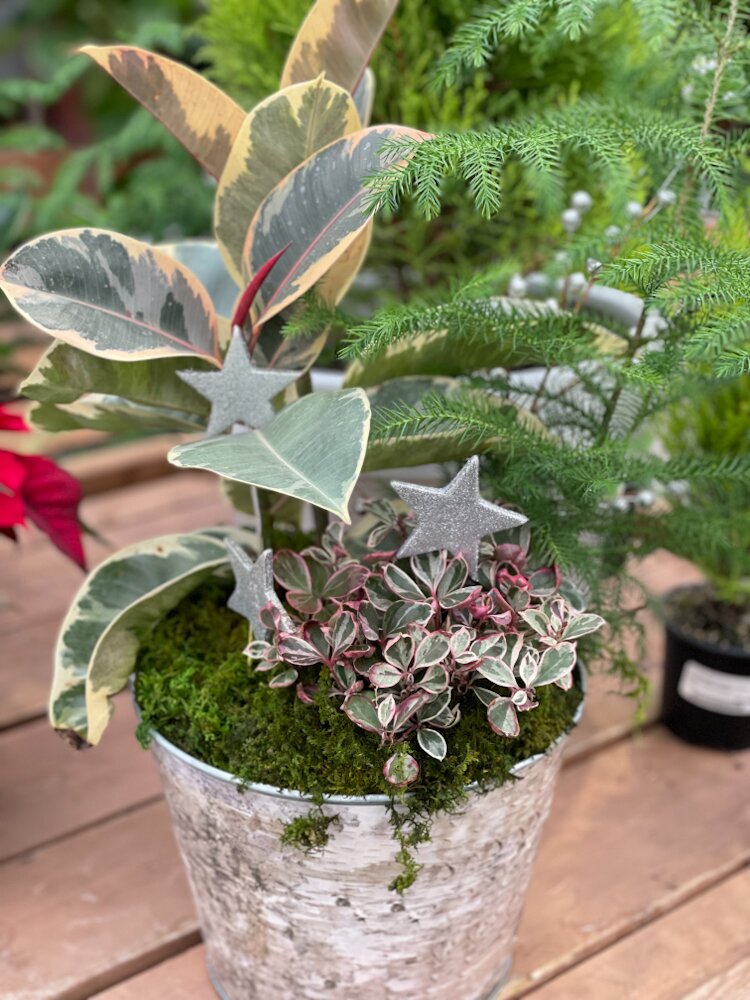 Last-Minute Christmas Gift for Gardeners