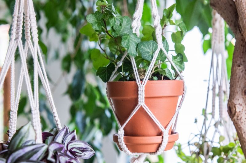 Make Your Own Plant Hangers