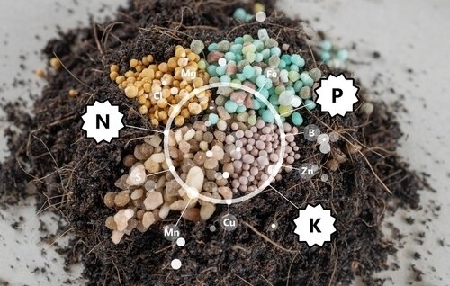 NPK Fertilizer Ratios Explained