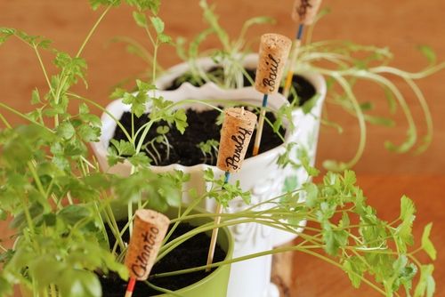 Plant markers for the garden kitchen