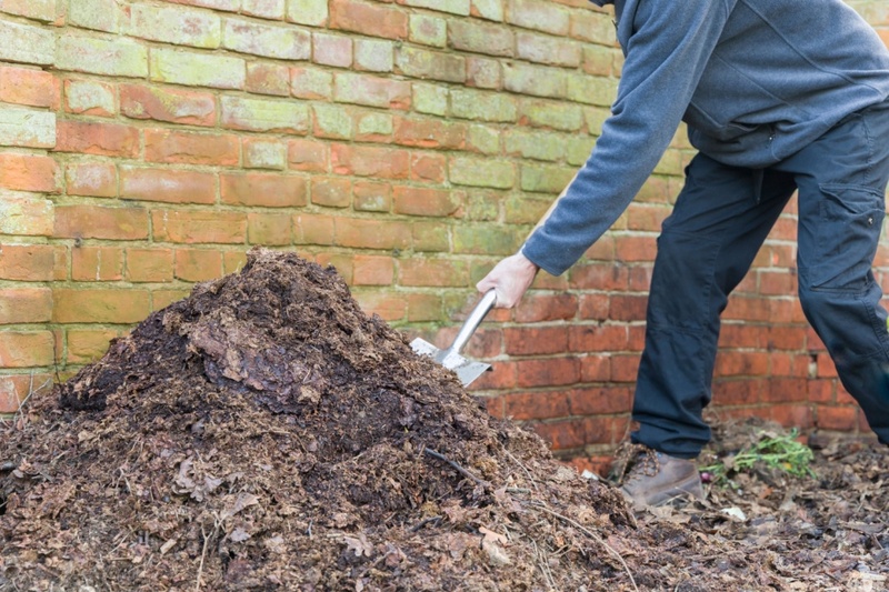 Why mulching works and how to do it