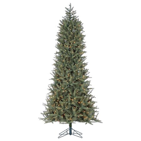 7.5 Provencher Spruce
