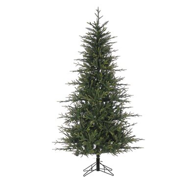 7.5' Lacoste Spruce - image 2
