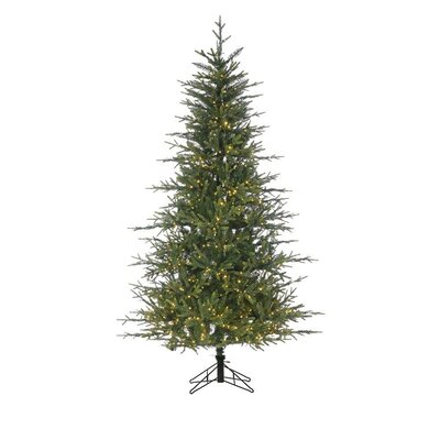 9' Lacoste Spruce - image 2