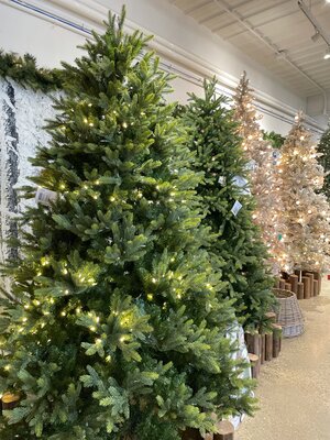 9' The Wellington Non Lit - image 2