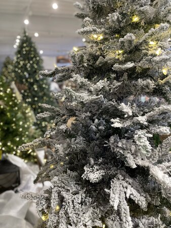 9' Whiteshell Balsam Slim - image 3