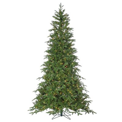 9' Nordmann Fir Tree - image 3