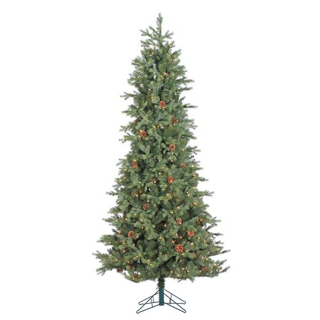 7.5' Assiniboine Pine - image 4
