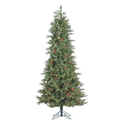 7.5' Assiniboine Pine - image 4
