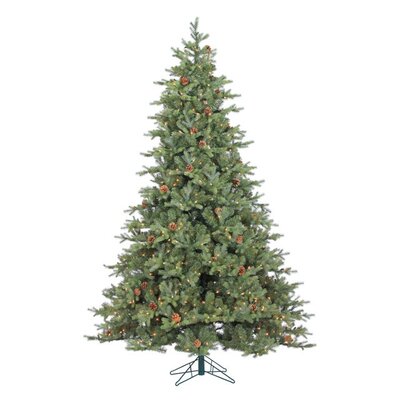 7.5' Assiniboine Pine - image 4