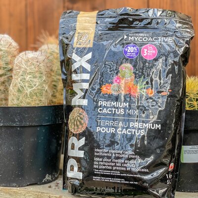 Cactus Potting Soil 5L