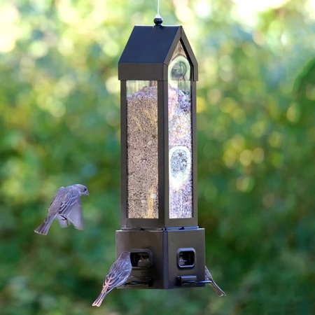 Choice Lantern Feeder