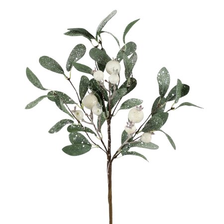 Leaf Frost Berry Spray