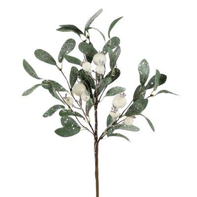 Leaf Frost Berry Spray