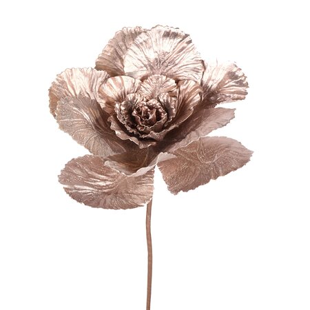 Cabbage Pick Rose Gold