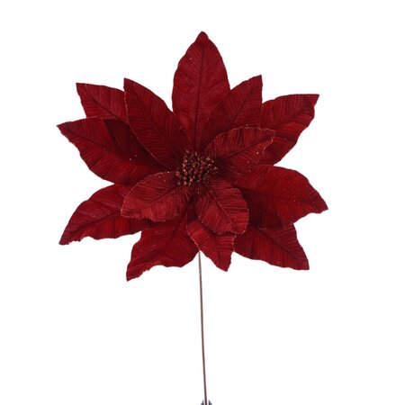 Red Poinsettia Stem