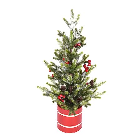 Pineberry Potted Tree