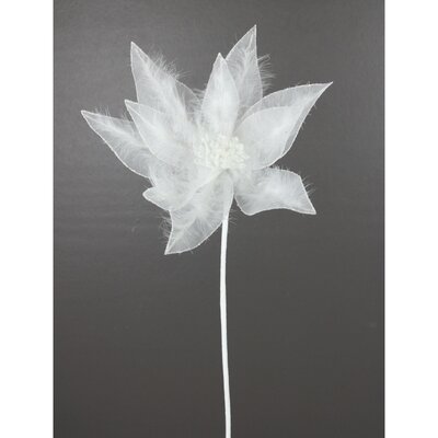 White Feather Poinsettia Stem