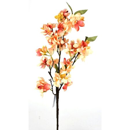 Apple Blossom Stem