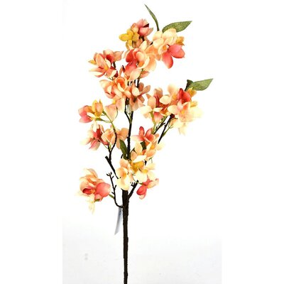 Apple Blossom Stem