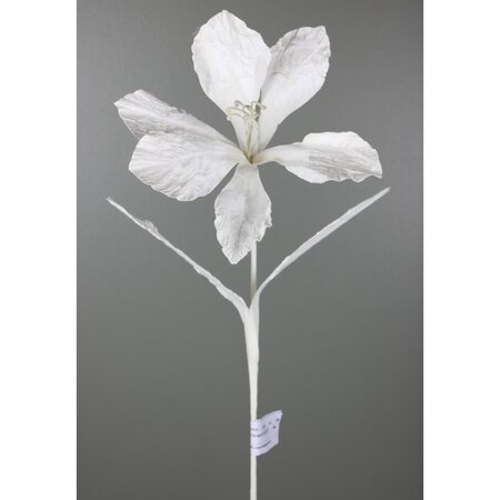Chalk Amaryllis Stem