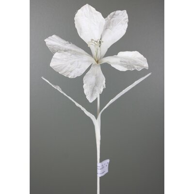 Chalk Amaryllis Stem