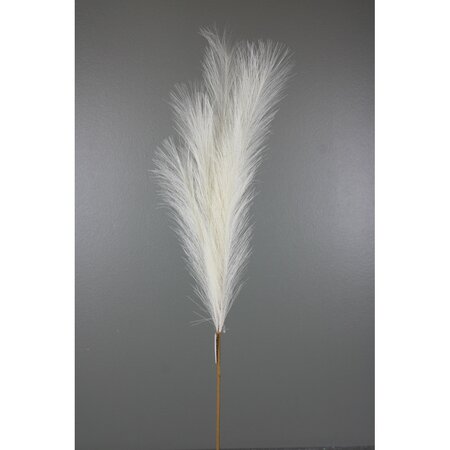 Cream Pampas Grass Spray