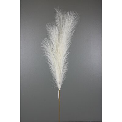 Cream Pampas Grass Spray