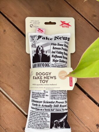 Doggy Fake News Toy