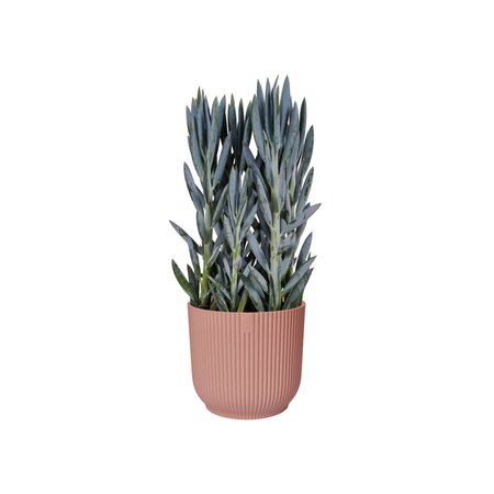 Vibes Fold Pink Pot - image 5