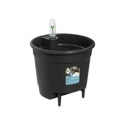 Self-Watering Insert Living Black - image 2