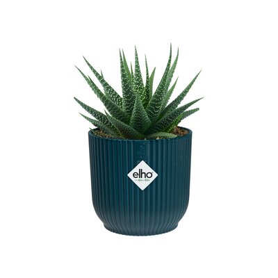 Vibes Fold Mini Blue Pot - image 1