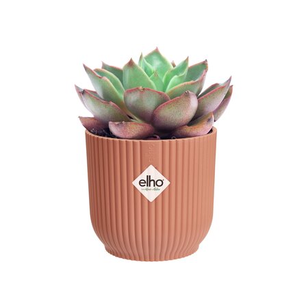 Vibes Fold Mini Pink Pot - image 1