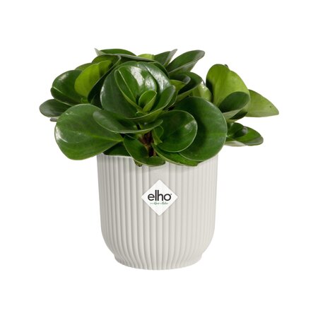 Vibes Fold Mini White Pot - image 1