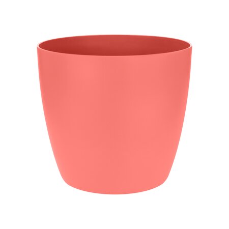 Brussels Pink Small Pot