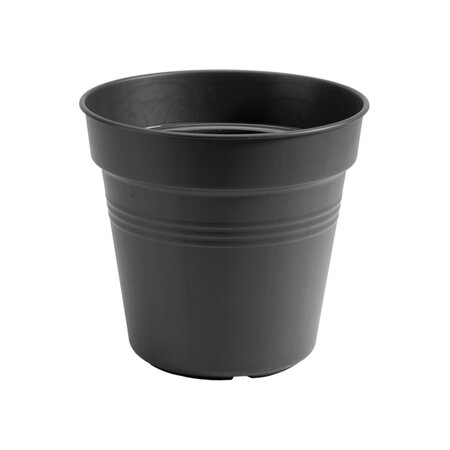 Green Basics Living Black Pot