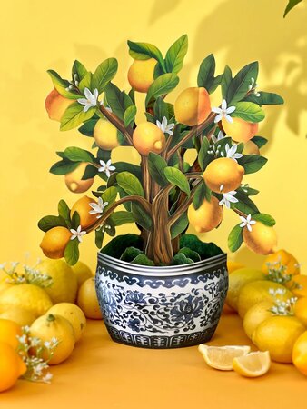 Lemon Blossom Tree Card