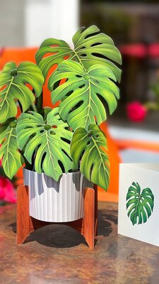 Monstera Card