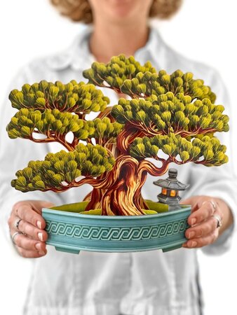 Wisdom Bonsai Card