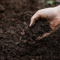 Garden Soil