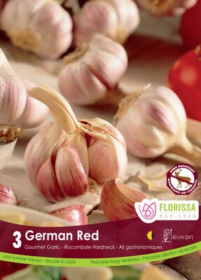 Garlic German Red