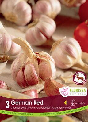 Garlic German Red