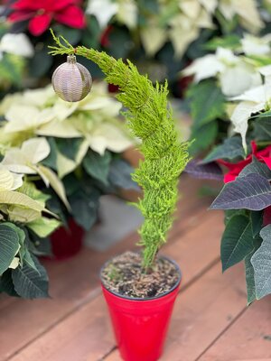 Grinch Tree w Patio Pot