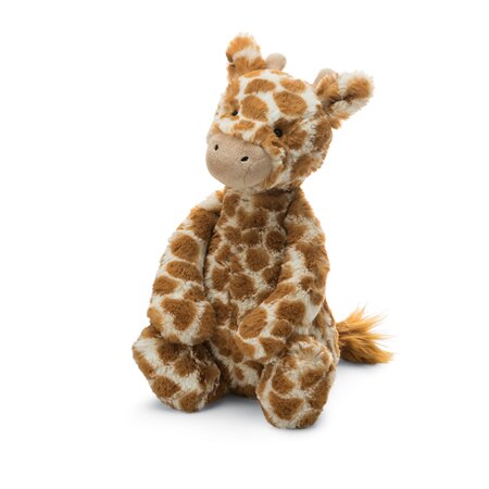 Bashful Giraffe